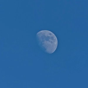 P1000086.jpg