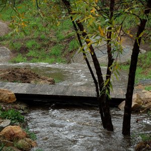 stream bridge xv.jpg