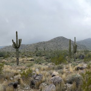 IMG_7195.jpg