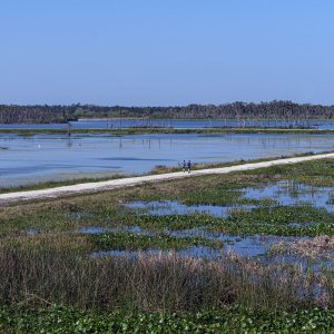 Wetlands Overview 2500px.jpg