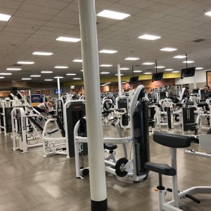 IMG_0881.jpeg