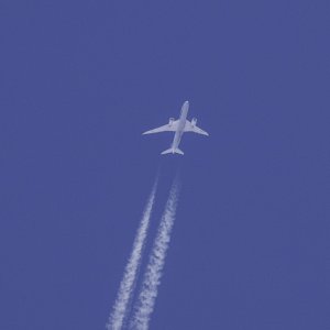 IMG_4113.jpg