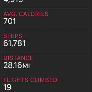 steps.PNG