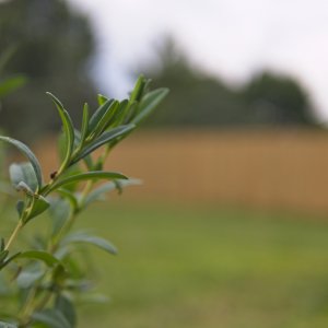P1000625.jpg