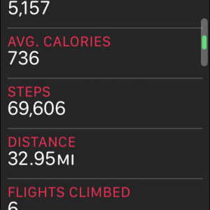 steps.PNG
