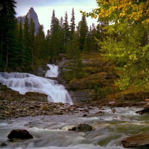 MT75_10Gla_8VirginiaCreekB.jpg