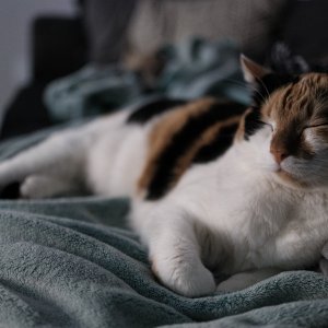 Low Light-1.jpg