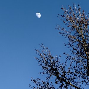 IMG_1248.JPG