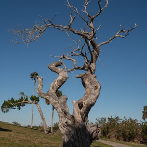 Seminole Rest - 2500px-3.jpg