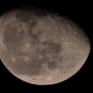 IMG_5361.JPG