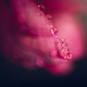DSC_3048-Edit.jpg