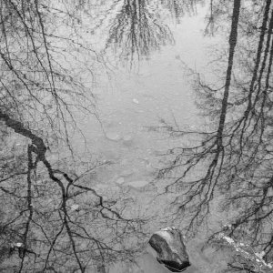 2023_January_50S20651.jpg
