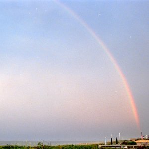 Roll _8_F100_2022_Image_17.jpg