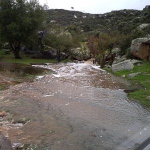 flood waters rising x.jpg