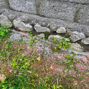 IMG_3318.jpg