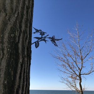 A532AC7E-DA01-4251-A53E-58E39EFD8564.jpeg