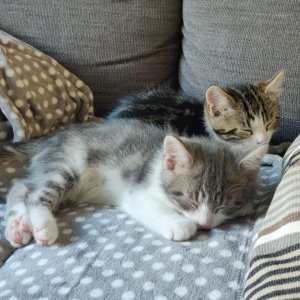 photo_2022-07-07 19.51.54.jpeg