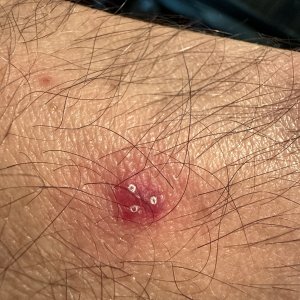 IMG_5427.jpeg