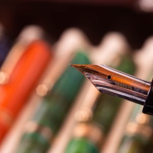 week 2 shallow DOF 2_.jpg