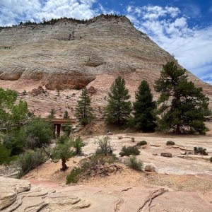 Zion74.jpg