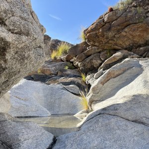IMG_7396.jpg