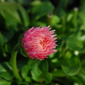 D1608D50-64B5-4DB6-AD76-9EBE689BD077.jpeg
