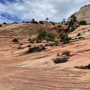 Zion62.jpg