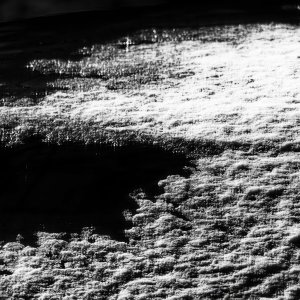 B&W Landscape.jpeg