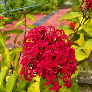 IMG_6754.jpeg