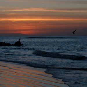 Galapagos_IMG_3987.jpg