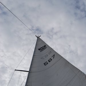 50613912-8288-46F0-8F23-D3B3BB9D78F6.jpeg