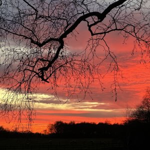 IMG_0010.JPG