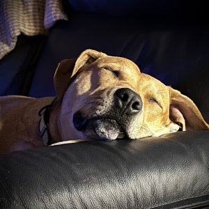 IMG_1342.jpeg
