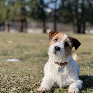 6D48707B-9785-4AAF-93C3-F7AAA9F18FD5.jpeg