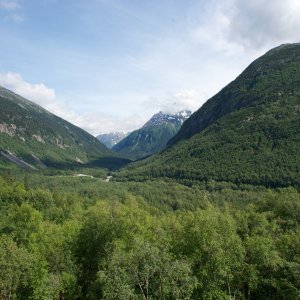 _7007314.jpg
