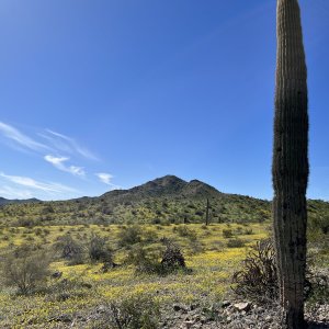 IMG_7501.jpg