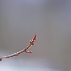 DSCF0380.jpg