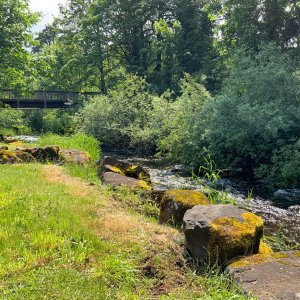 creekbridge.jpg
