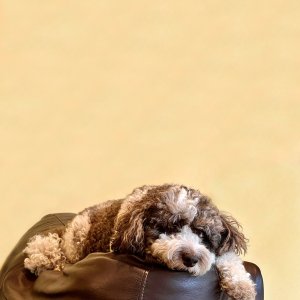 IMG_3299b.jpg