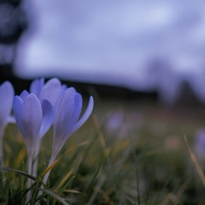 F5DDD008-B855-4774-A714-212604186FFB.jpeg