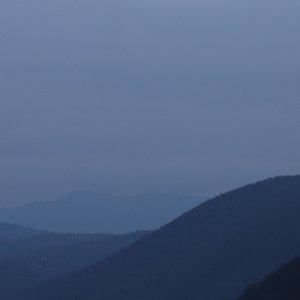 IMG_7318.JPG