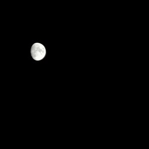 IMG-3203 copy.jpg