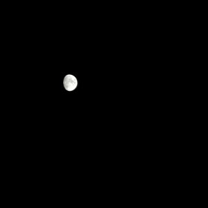 IMG-3203.jpg