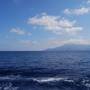 1E62A878-F86E-46F6-8BF7-D8C25126CAFB.jpeg