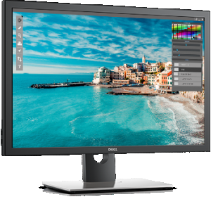 dell-monitor-up3017-black-right-usage-hero-504x350-ng.png