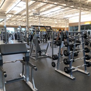 IMG_1179.jpeg