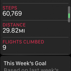 steps.PNG