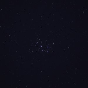 850_1426-Dark Median copy.jpg