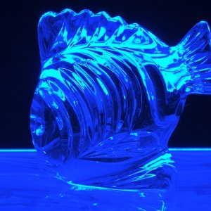 _DSC6915 - Version 2.jpg