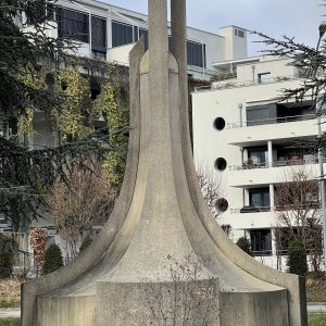 IMG_7437.jpeg